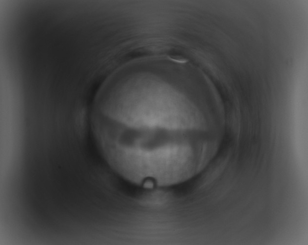 X0000100930319200807081218