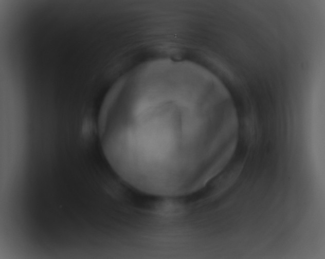 X0000100930320200807081218