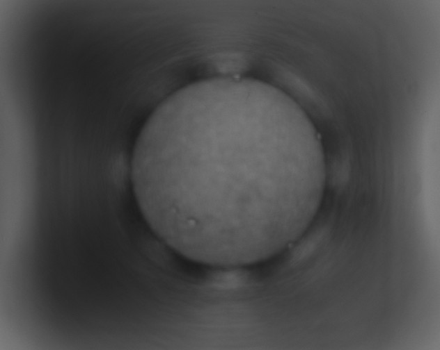 X0000100930321200807081218