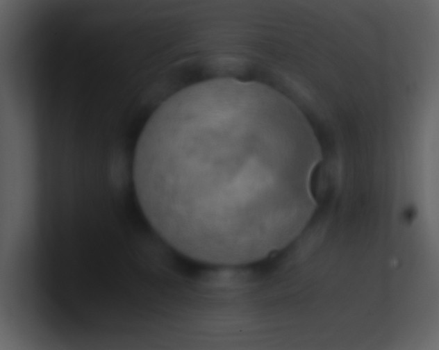 X0000100930323200807081218