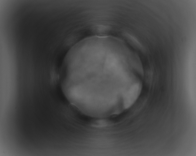 X0000100930324200807081218