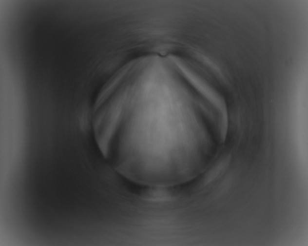 X0000100930325200807081218