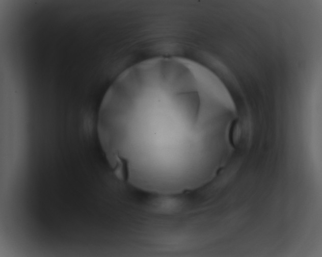 X0000100930326200807081218