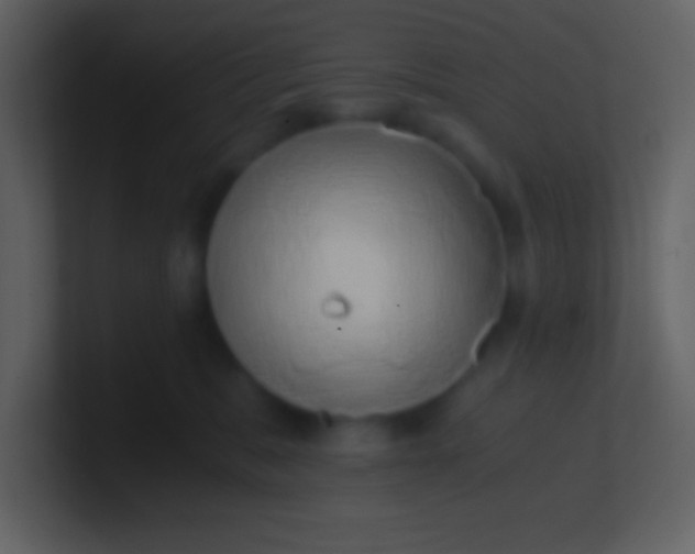 X0000100930327200807081218