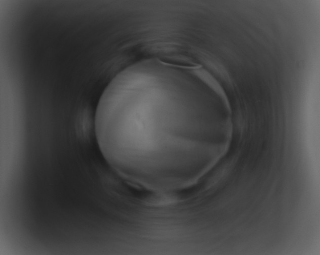 X0000100930328200807081218