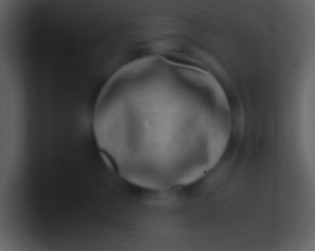 X0000100930329200807081218