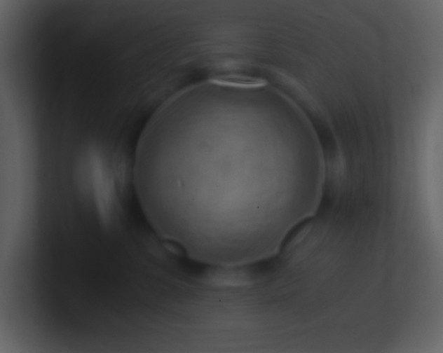 X0000100930331200807081218