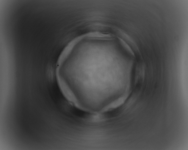 X0000100930333200807081218