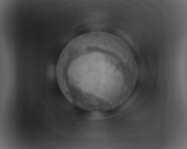 X0000100930335200807081218