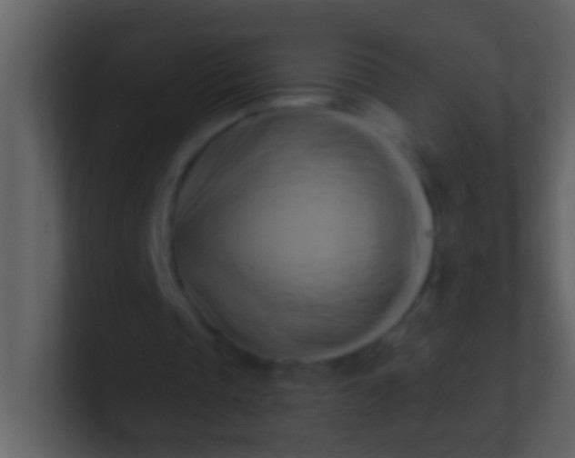 X0000100930337200807081217