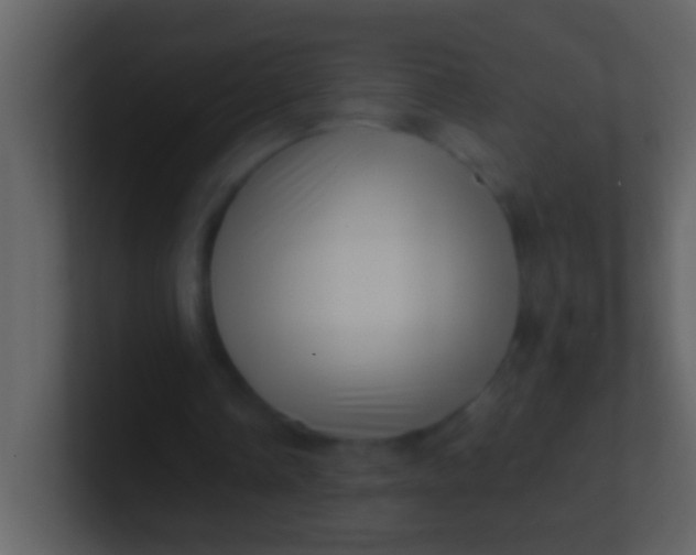 X0000100930338200807081217