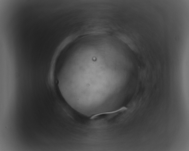 X0000100930340200807081217