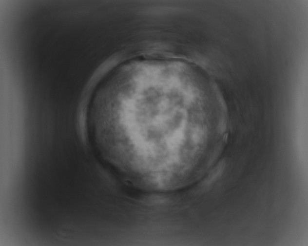 X0000100930341200807081217