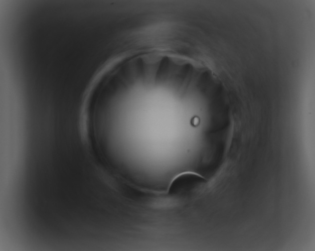 X0000100930342200807081217