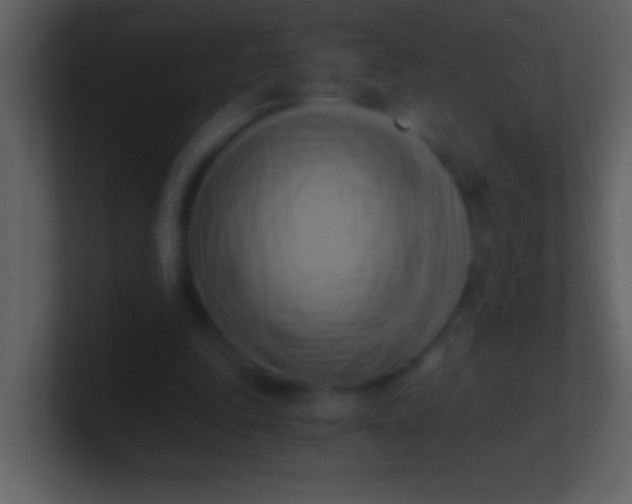 X0000100930343200807081217