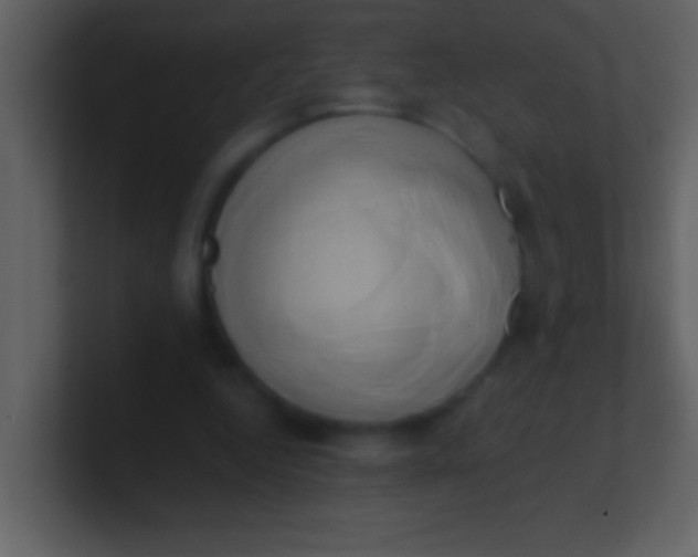 X0000100930344200807081217