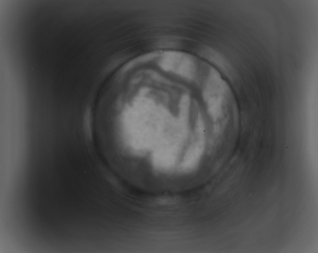 X0000100930345200807081217