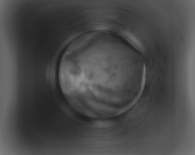 X0000100930346200807081217