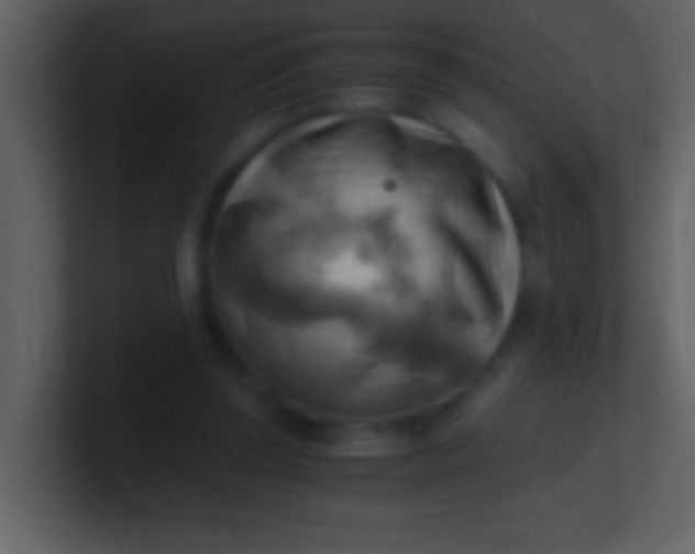 X0000100930347200807081218