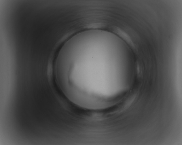 X0000100930348200807081218