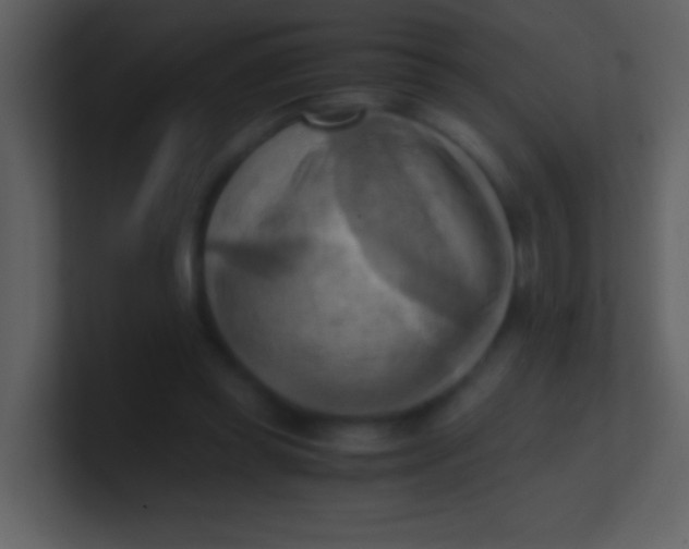 X0000100930349200807081218