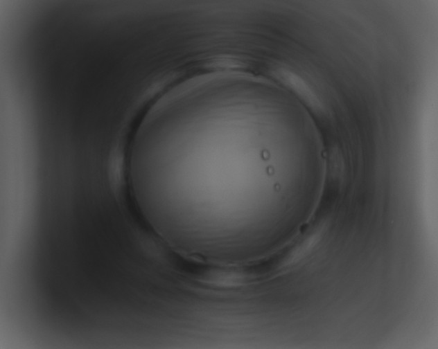 X0000100930351200807081218