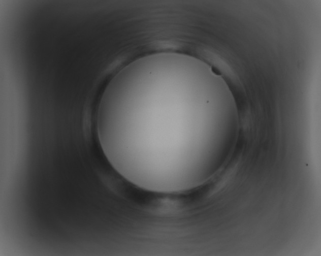 X0000100930352200807081218