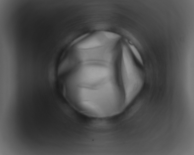 X0000100930354200807081218