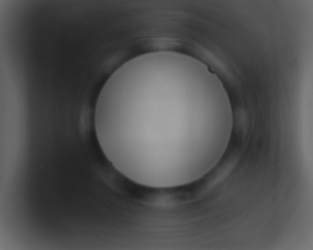 X0000100930356200807081218