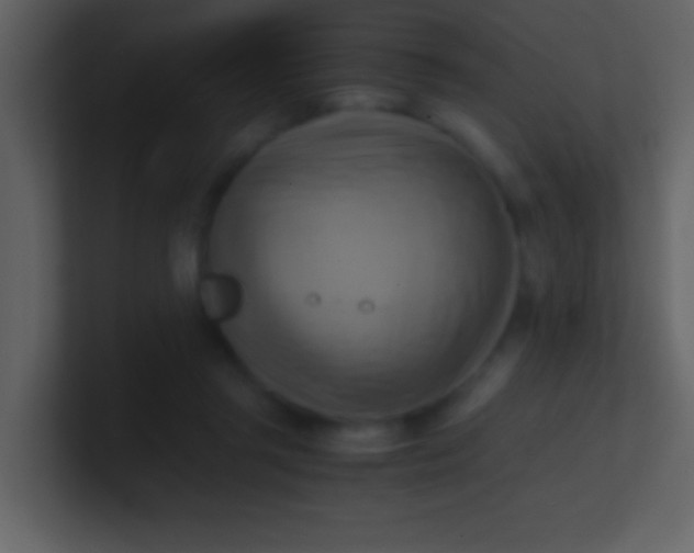 X0000100930357200807081218