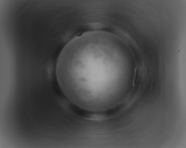 X0000100930360200807081218