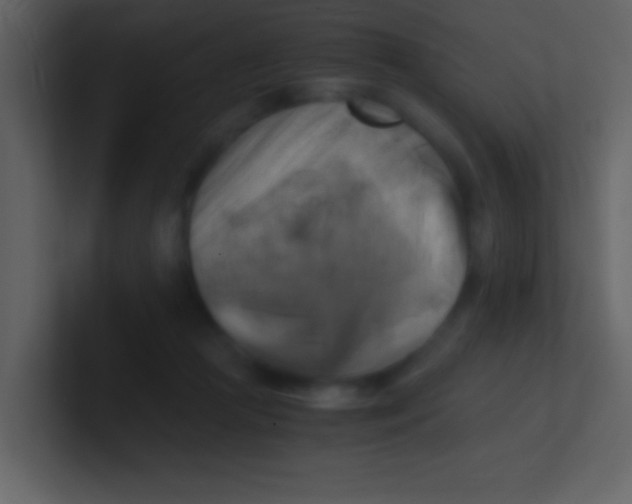 X0000100930361200807081218