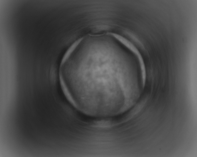 X0000100930362200807081218