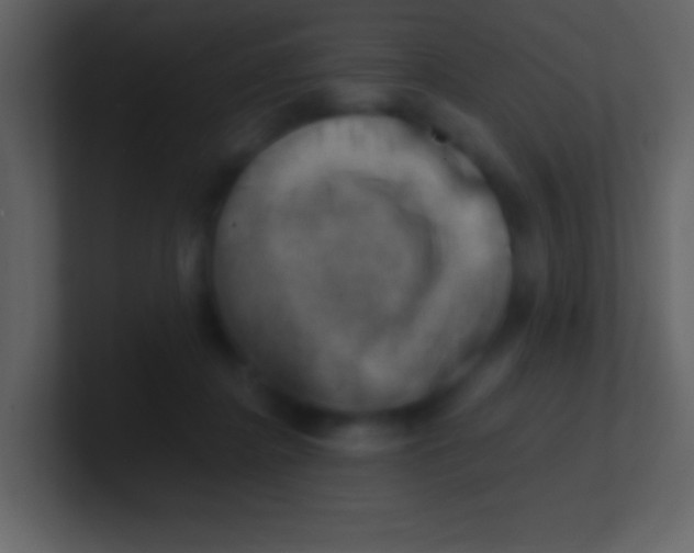 X0000100930364200807081218