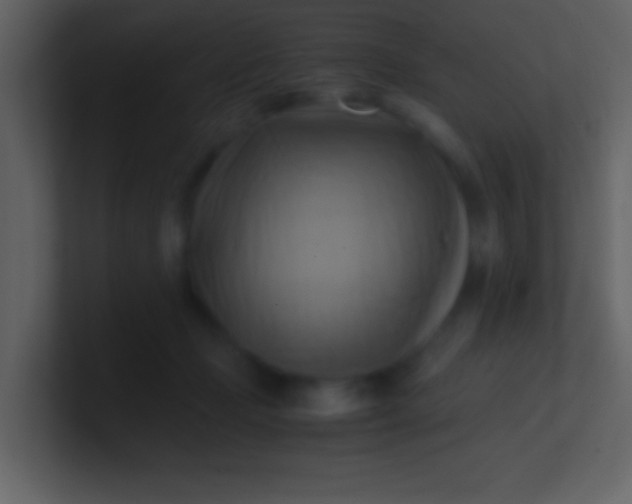 X0000100930365200807081218