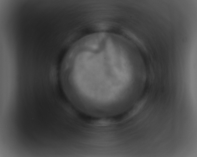 X0000100930366200807081218