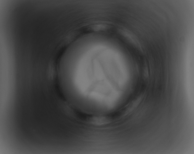 X0000100930367200807081218