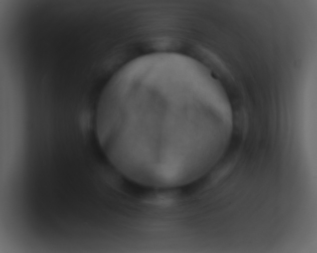 X0000100930368200807081218