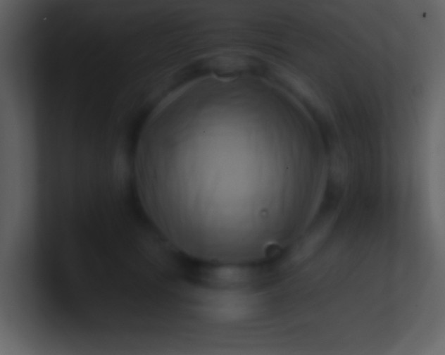 X0000100930371200807081218