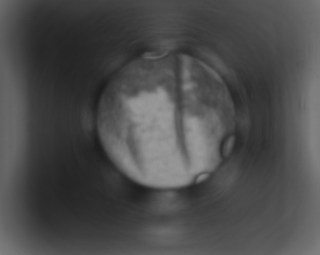 X0000100930374200807081218