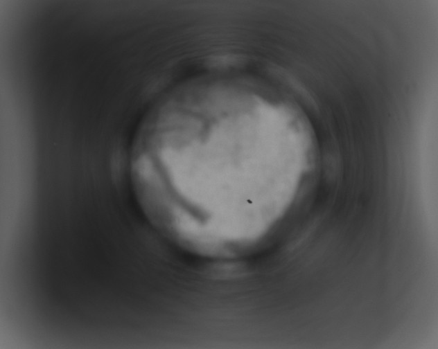 X0000100930375200807081218