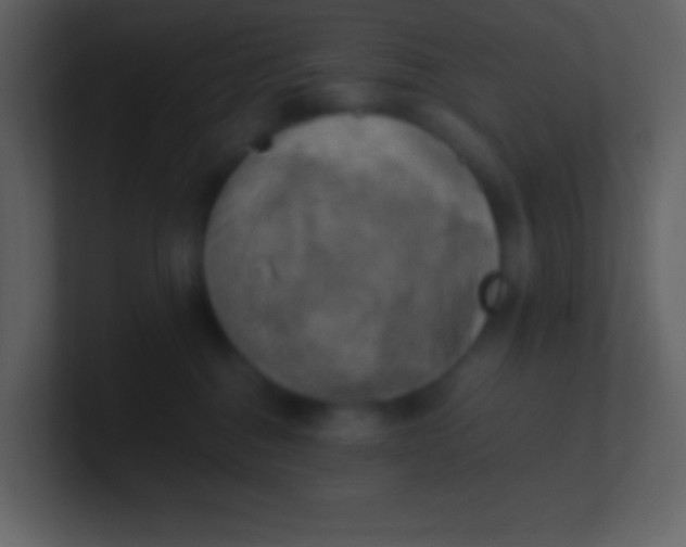 X0000100930376200807081218