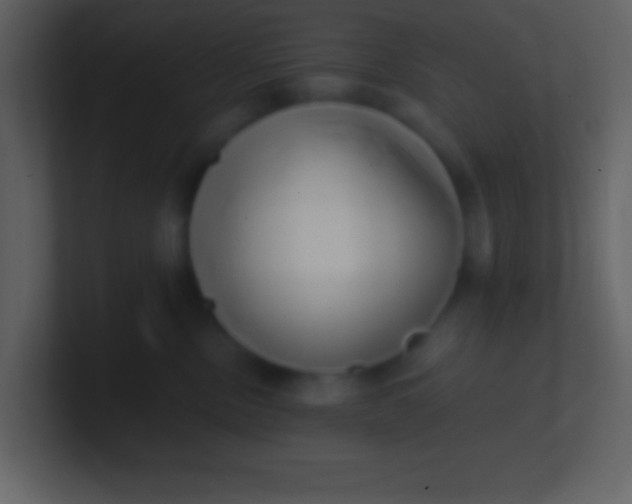 X0000100930378200807081218