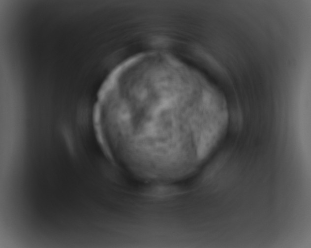 X0000100930379200807081218