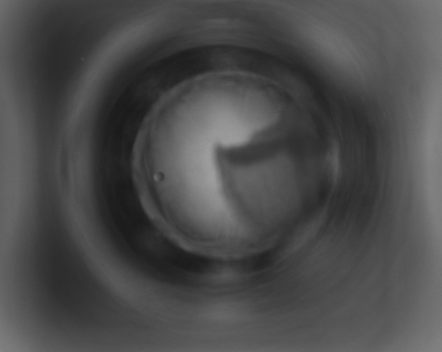 X0000100930381200807081218