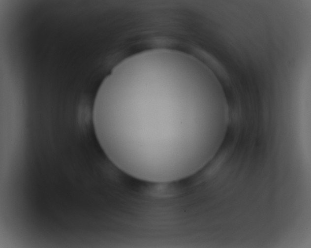 X0000100930382200807081218