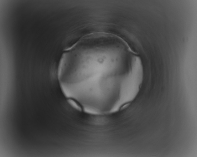 X0000100930384200807081218