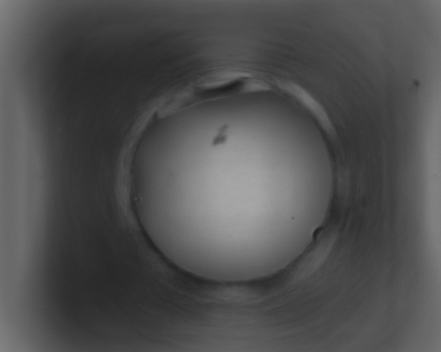 X0000100930385200807081217