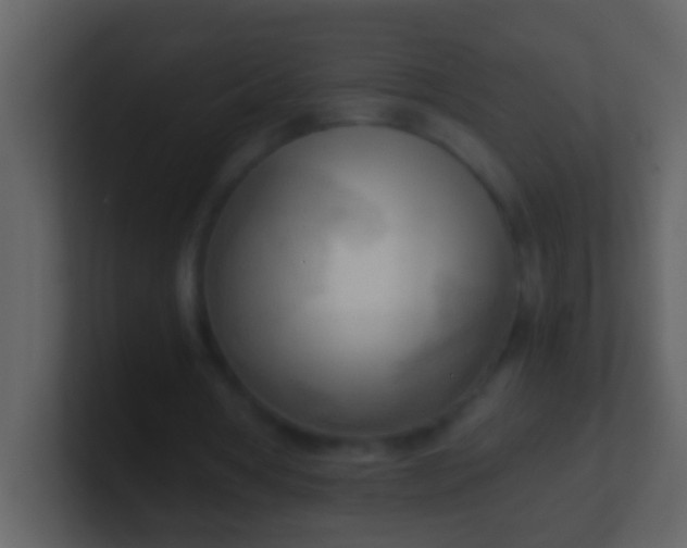 X0000100930386200807081217