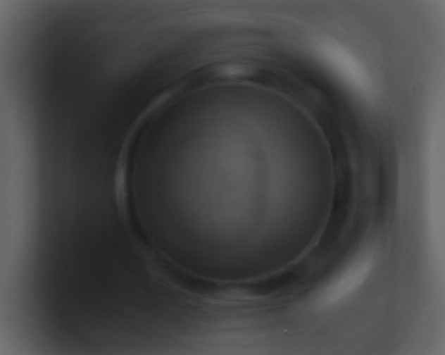 X0000100930387200807081217